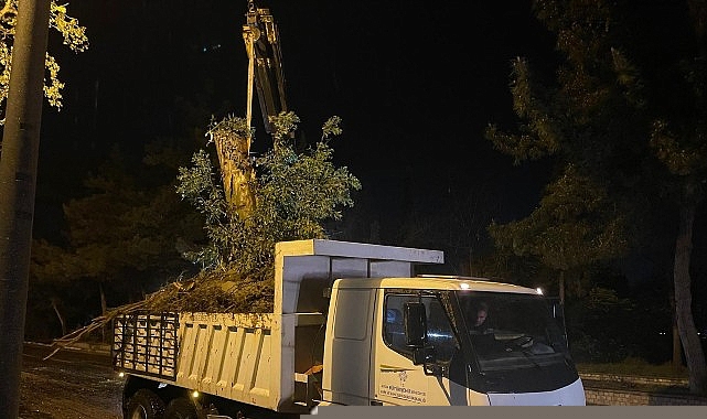 Aydın Büyükşehir Belediyesi’nden Şiddetli Yağış ve Fırtınaya Karşı Hızlı Müdahale