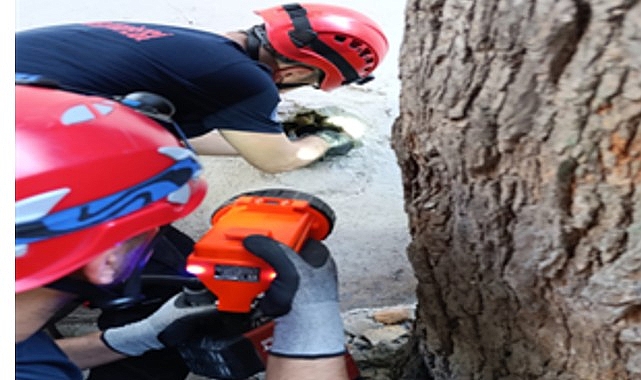 İzmir İtfaiyesi havalandırma bacasına sıkışan kediyi kurtardı