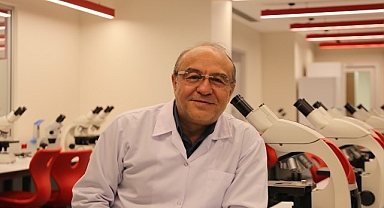 Pestisitler, arı nüfusunu da tehdit ediyor! Arıların yok oluşu zincirleme bir çöküşe sebep olur!