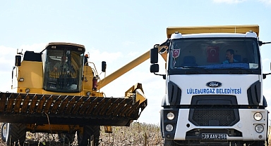 Lüleburgaz Belediyesi’nden ayçiçeği hasadı
